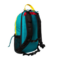 Load image into Gallery viewer, Backdrop Bag